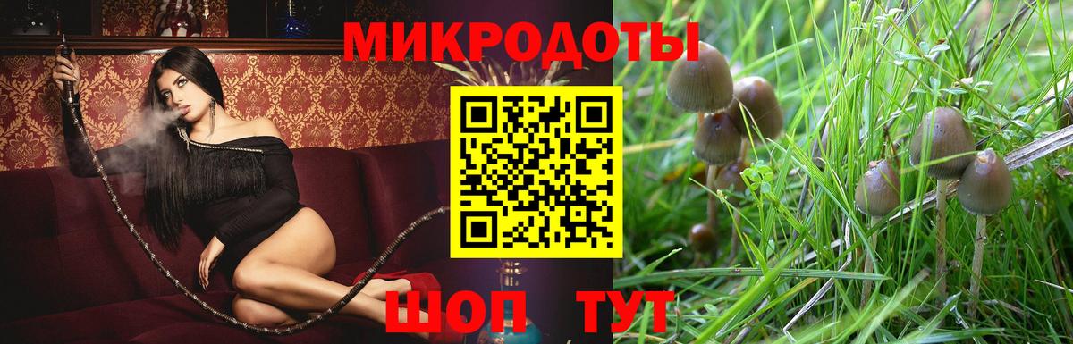 Псилоцибиновые грибы ЛСД  Вход с VPN  Северск 