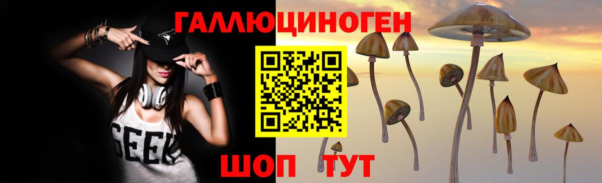 Псилоцибиновые грибы Magic Shrooms Северск